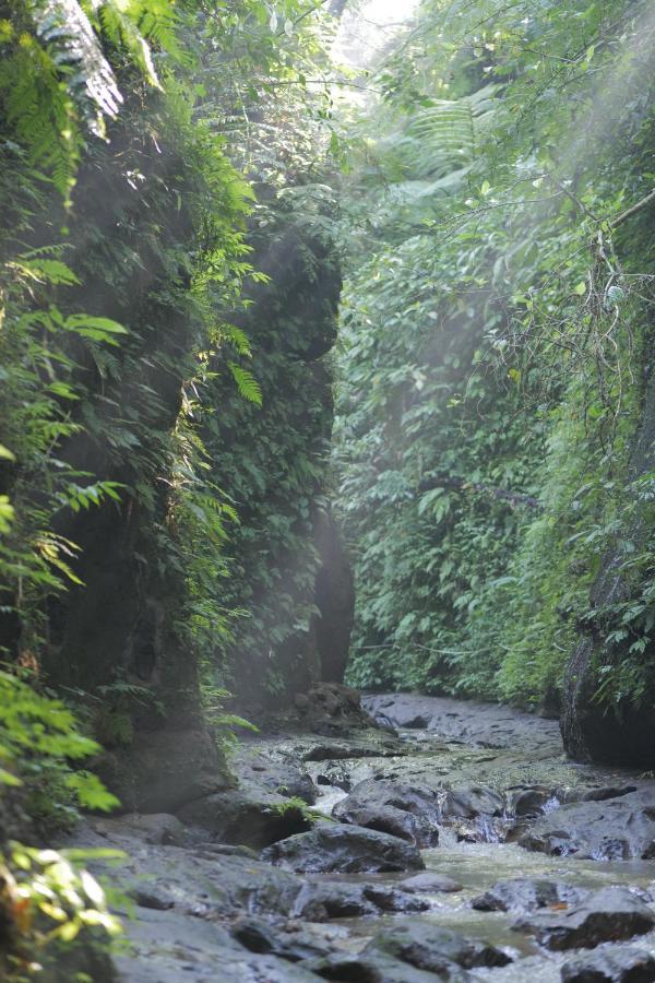 Pramana Giri Kusuma Hotel Payangan Luaran gambar